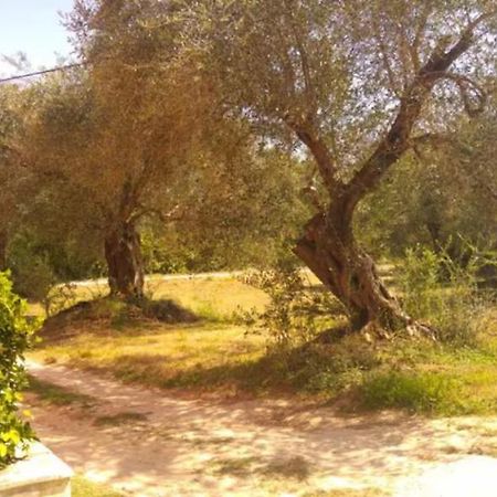 Appartamento Geramia Melíssia Esterno foto